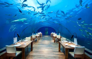 Conrad Maldives Rangali Island - Ithaa Undersea Restaurant