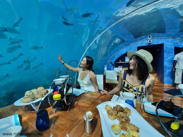 World's First Undersea Restaurant