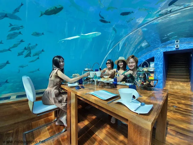 Conrad Maldives Ithaa Undersea Restaurant