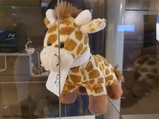 Stuffed Toy @ Novotel Athens
