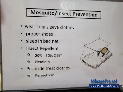 เตรียมตัวกันมาลาเรีย Mosquito Insect Prevention