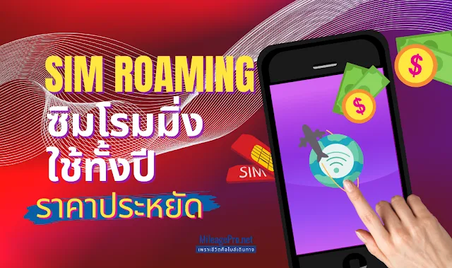 ซิมโรมมิ่งราคาประหยัด ซิมโรมมิ่งใช้ได้ทั้งปี